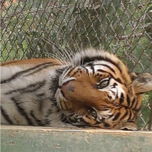 Meet your Posher, Susan - Picture 12 of 16